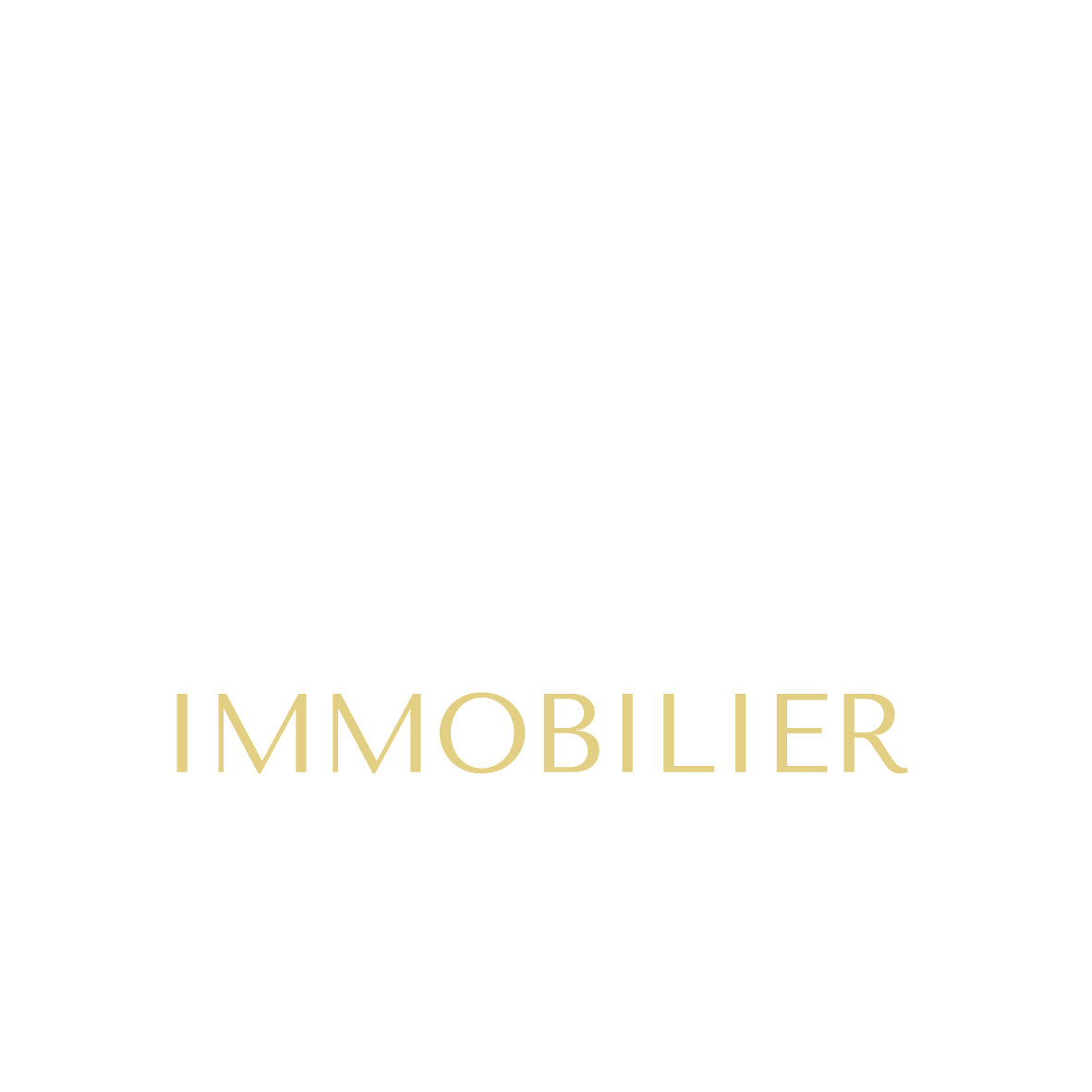 Attena Immobilier logo 9